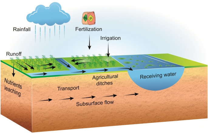 Balancing Fertilizer Use and Water Quality: Understanding Agricultural Impact on NBOD Levels