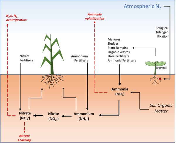 Balancing Fertilizer Use and Water Quality: Understanding Agricultural Impact on NBOD Levels