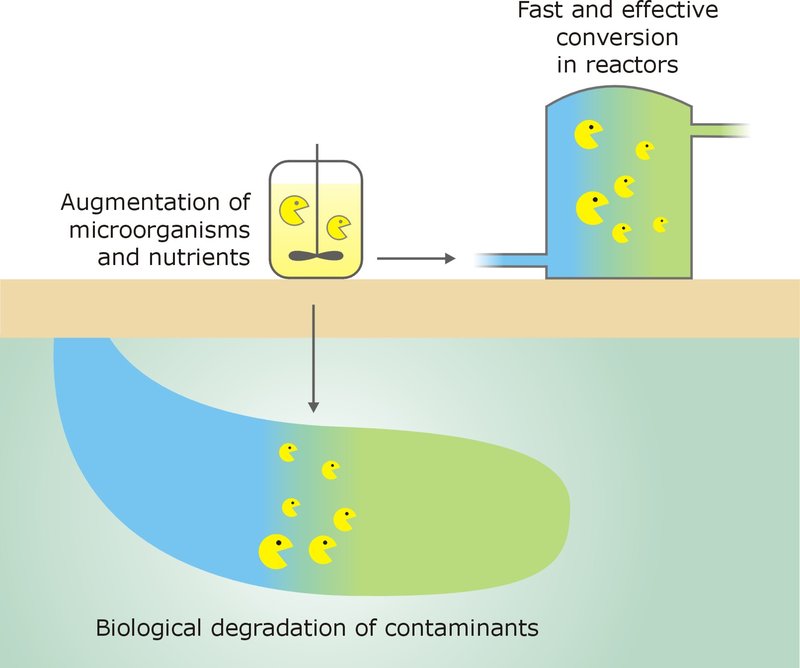 Bioaugmentation in Activated Sludge: A Promising Technique for Enhanced Wastewater Treatment